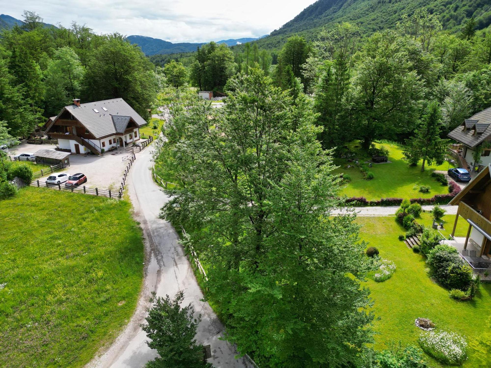 Sobe In Apartmaji Pri Ukcu Bohinj Exterior foto